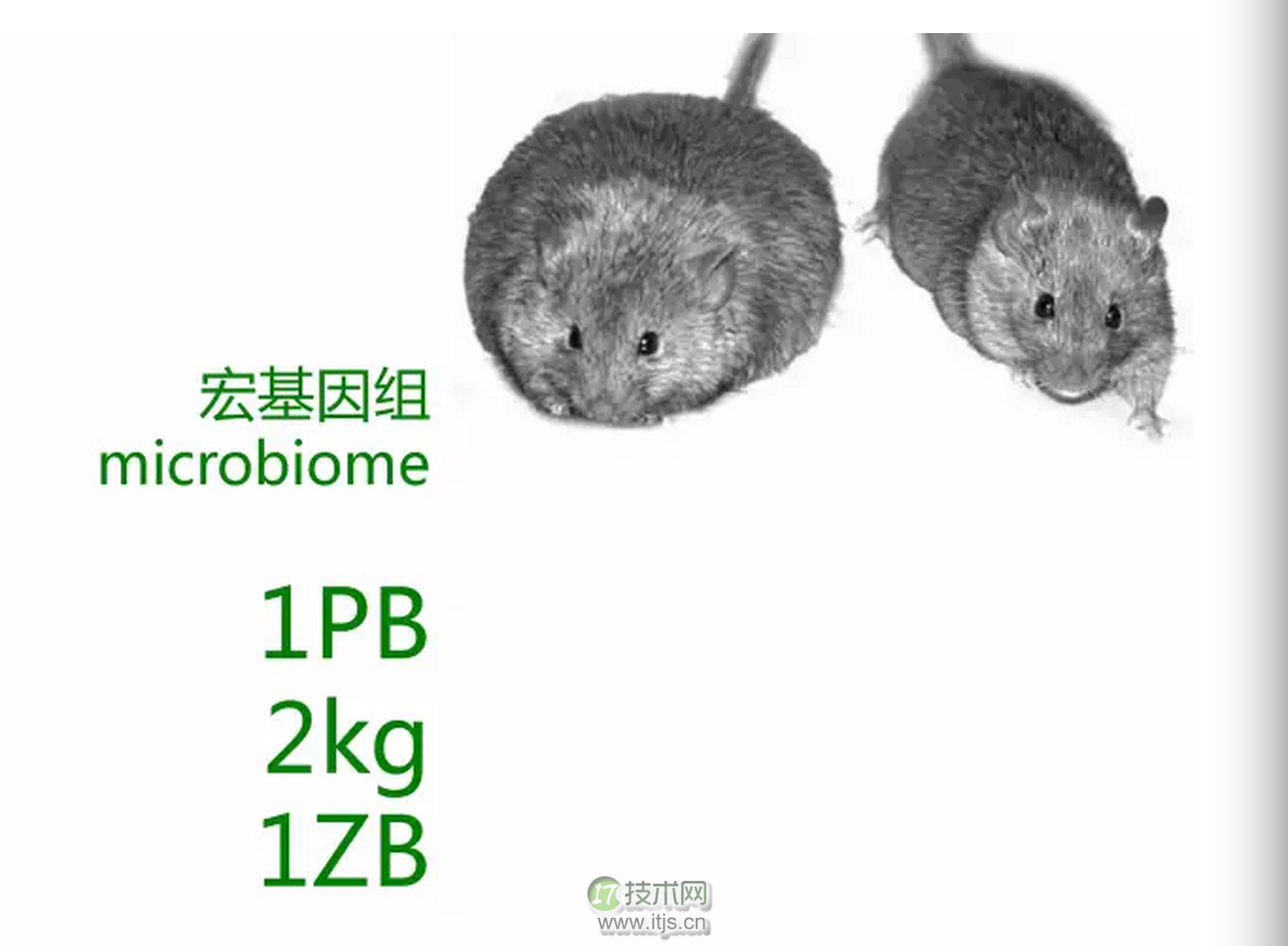 10EB量级的基因大数据处理技术