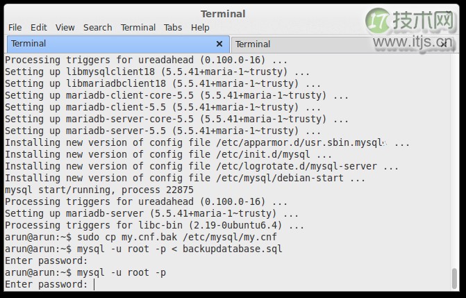 Linux 上从 MySQL 迁移到 MariaDB 的简单步骤