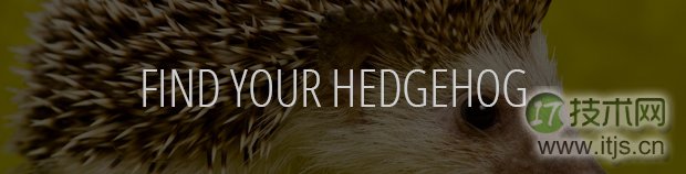 hedgehog