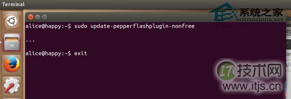  Ubuntu Chromium如何安装Flash