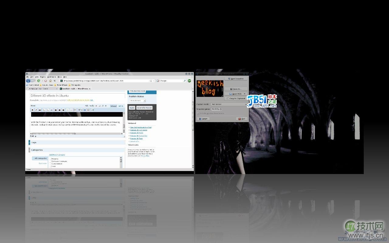 在Ubuntu系统中定制 Compiz Fusion 特效