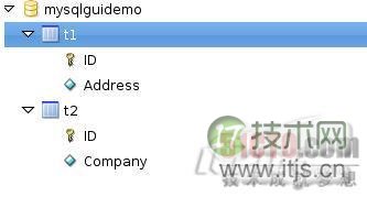www.itjs.cn
