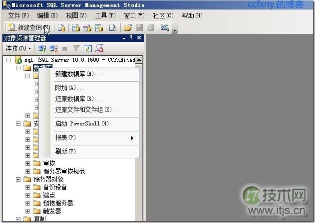 新建数据库选项