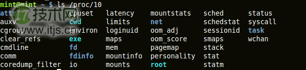 output of 'ls /proc/pid'
